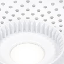 Сито косточек цитрусовых комбайна Bosch MCM40/41/42